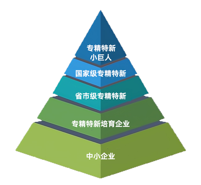省级名单！莒南这些优秀企业上榜-山东省2023年度专精特新中小企业公示名单