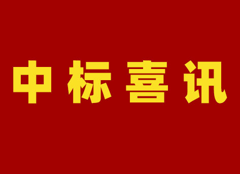 国网新疆电力有限公司2024年第二次配网物资协议库存公开招标采购项目中标结果公告